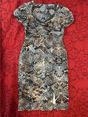 Blumarine Snake-Print Midi Dress in Brown, Gray, Gold